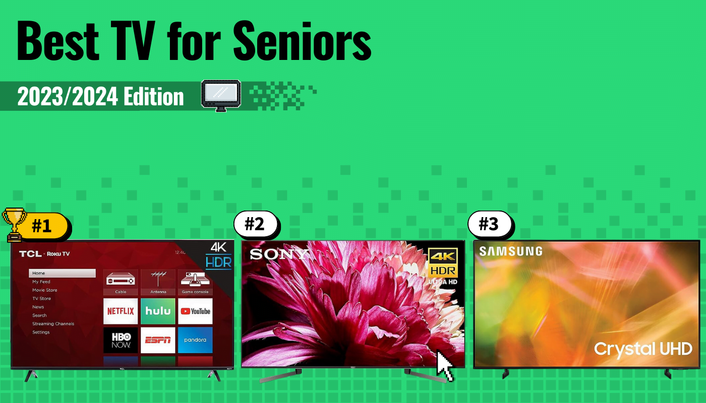 Best TV for Seniors 2024 Top Televisions for the Elderly