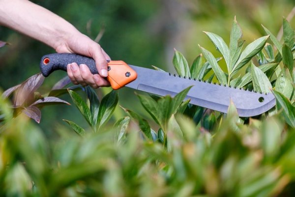 Gerber Compact Clearpath Machete