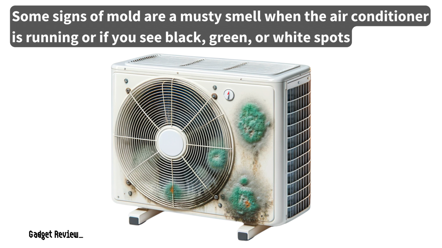 Mold In Air Conditioner | How To Clean Out A Moldy AC