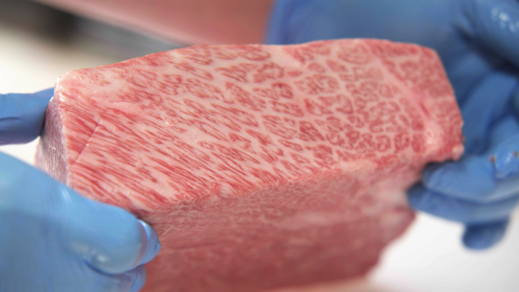 Matsusaka Wagyu