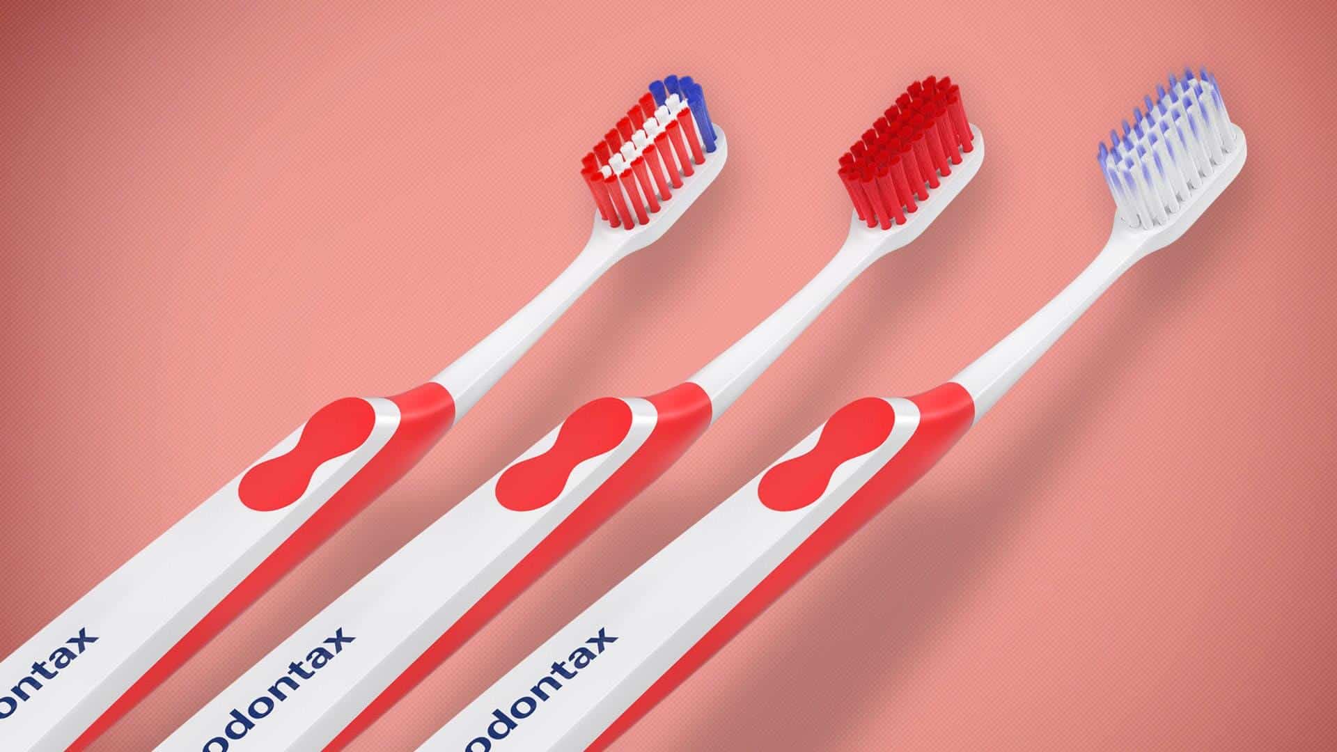 Zviera Vyh ad vanie Plen rna Sch dza Curaprox Best Toothbrush Brand 