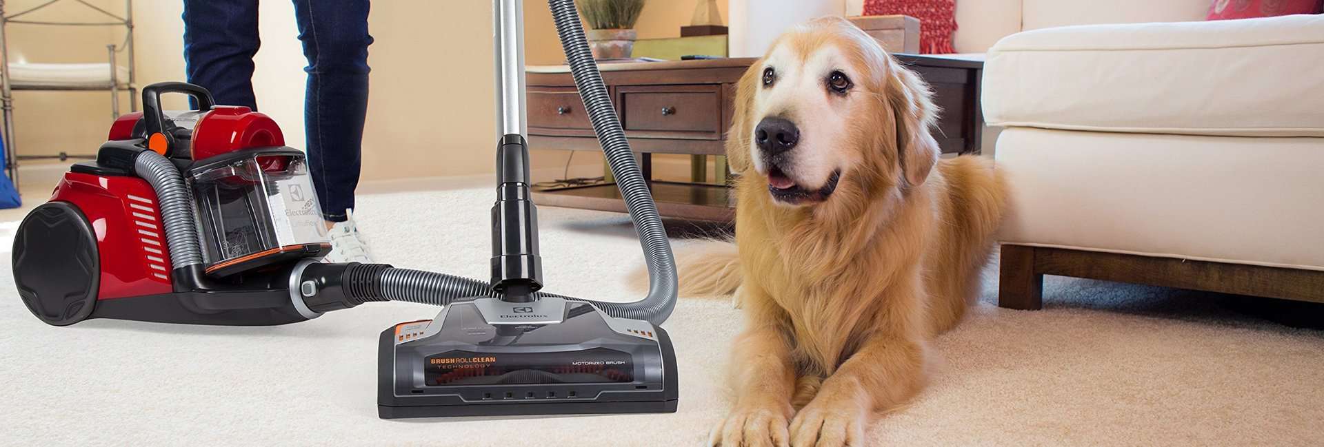 The 9 Best Vacuums for Pet Hair of 2023 Tested  Reviewed