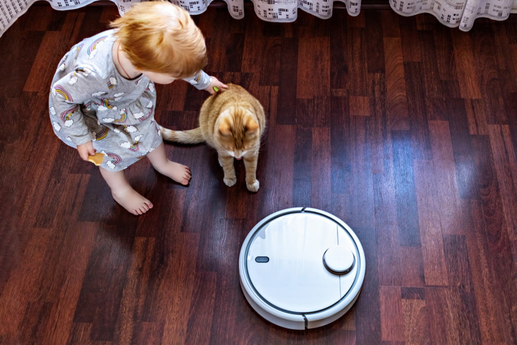 how-to-dry-wet-carpet-without-a-vacuum-3-easy-steps